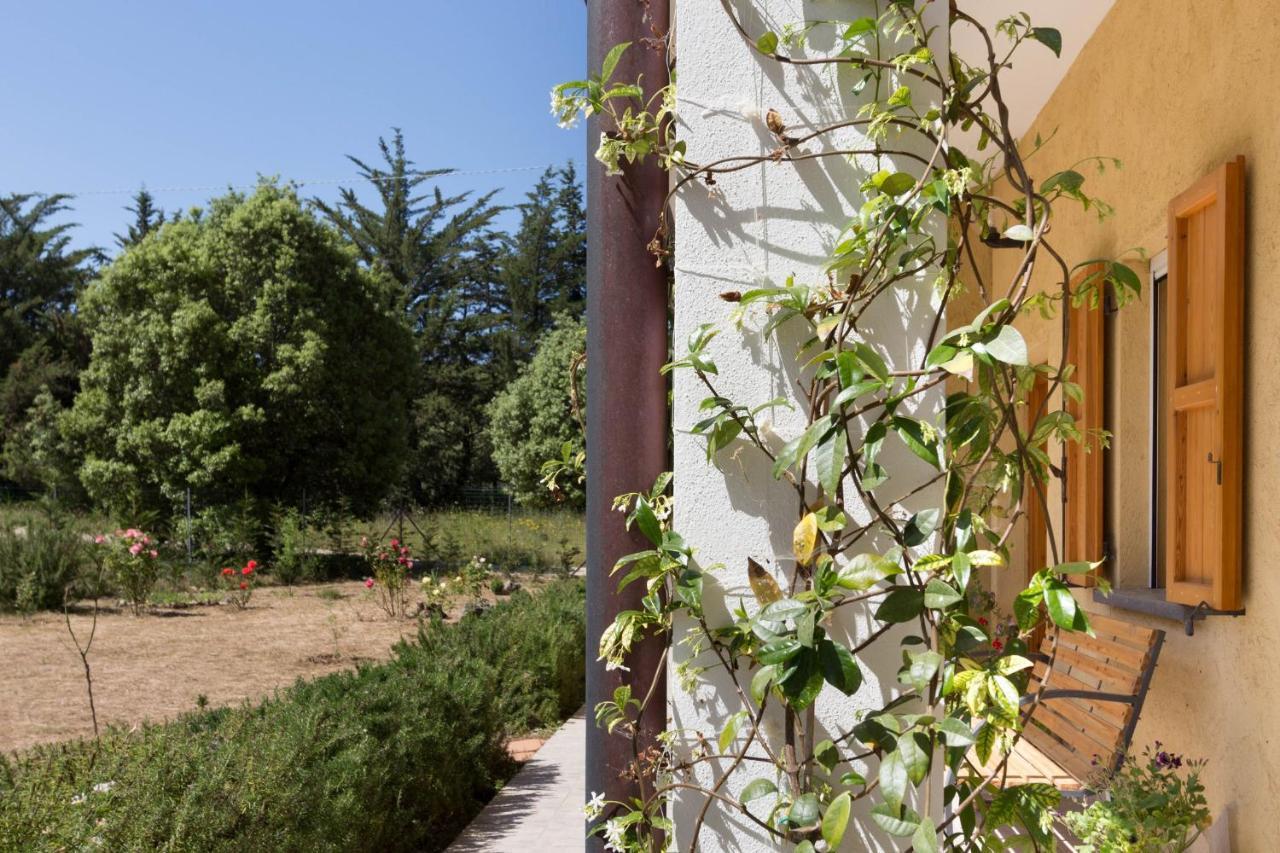 Su Pitiolu - Casa Vacanze Laconi Exterior photo